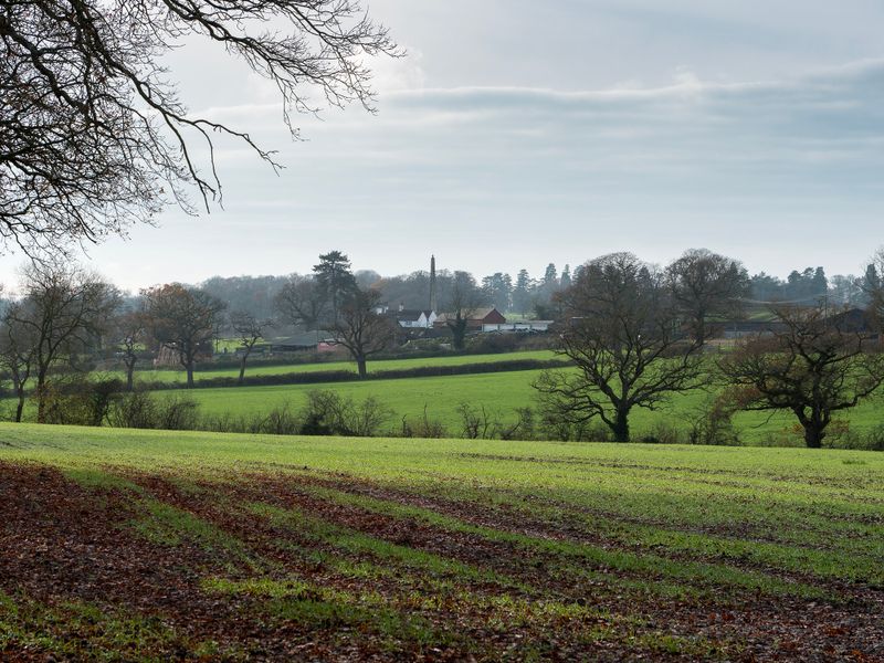 Obelisk Farm