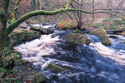 Hebden Water 