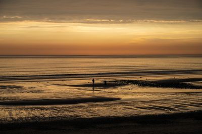 Beach angler