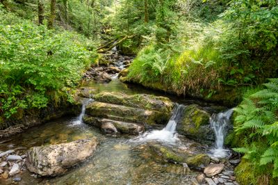 Nant Gwernol
