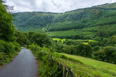 Upper Llefenni valley