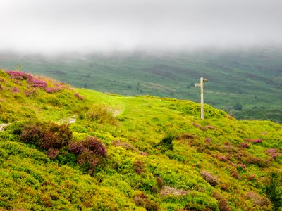Sign Post
