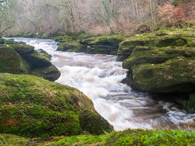 The Strid