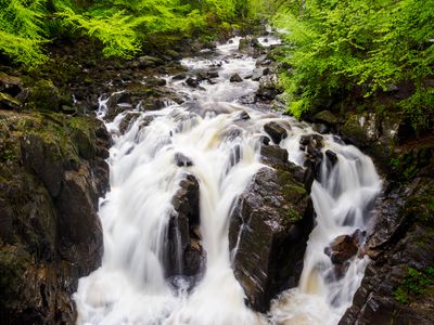 River Braan Falls