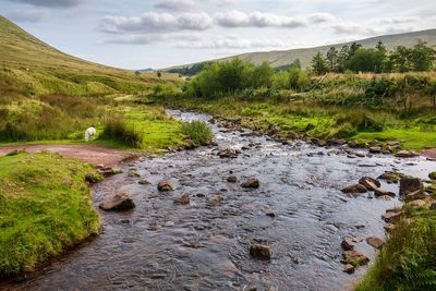 River Taff/Afon Taf