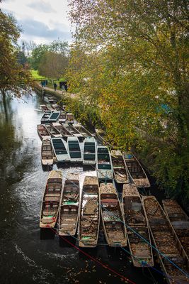 Tied up boats