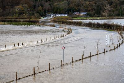 Storm Bert 