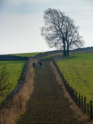 Bridleway
