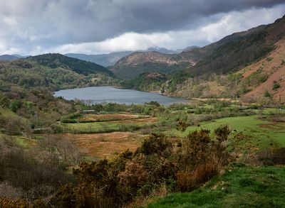 Llyn Gwynant