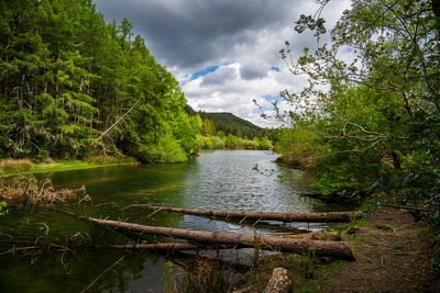 Lake - Llyn Tan Y Graig