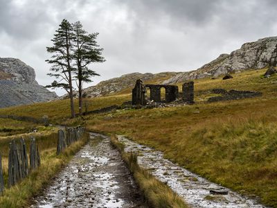 Images from Wales - 2025