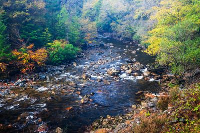 Images from Wales - 2025