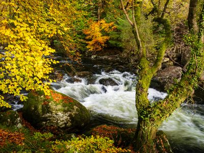 Images from Wales - 2025