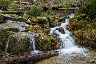 Images from Wales - 2025