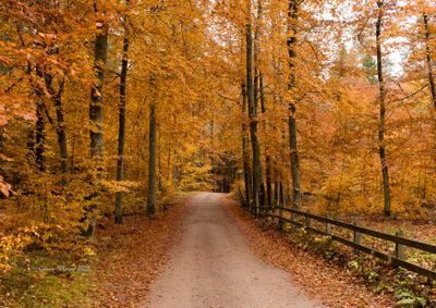 Bokskogen sjtorpsgrd 