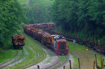 2013 06 18 151252 WESTERN FOREST PRODUCTS  D3S copy.jpg