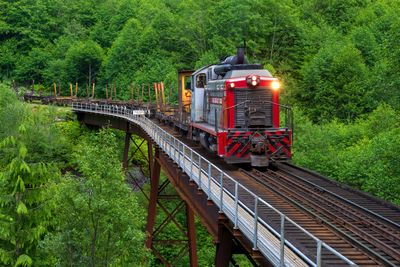 2013 06 18 165558 WESTERN FOREST PRODUCTS  D3S copy.jpg