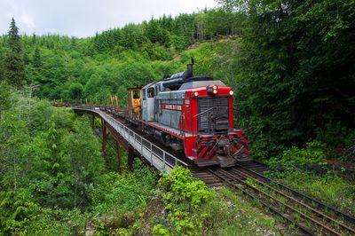 2013 06 18 165603 WESTERN FOREST PRODUCTS  D3S (1) copy.jpg