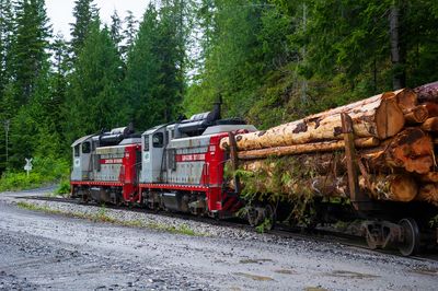 2013 06 20 195035 WESTERN FOREST PRODUCTS  D3S (4) copy.jpg