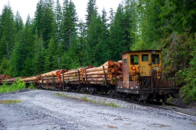 2013 06 20 195303 WESTERN FOREST PRODUCTS  D3S (1) copy.jpg