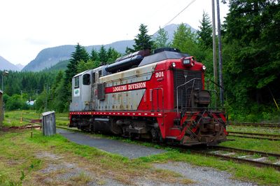2013 06 23 153906 WESTERN FOREST PRODUCTS  D3S copy.jpg