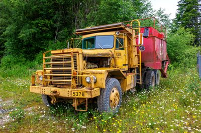 Near Woss, BC