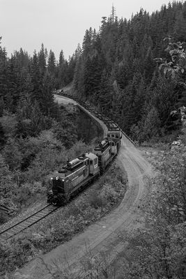 _8027189-2 copy.jpg