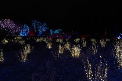 DSC04996-Edit.jpg