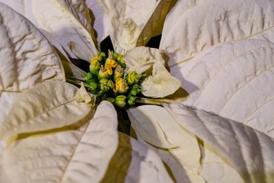 DSC05011-Edit.jpg