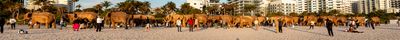 DSC02100-Pano.jpg