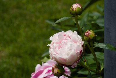 DSC04857.jpg