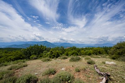 Meteora Vista 5.jpg