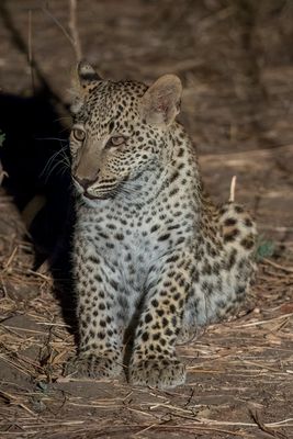 _JR76173-topaz-denoiseraw-sharpen.jpg