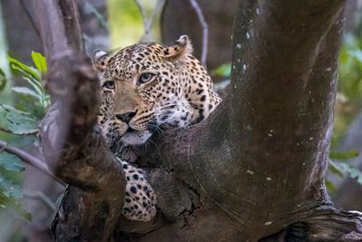 _JR76524-topaz-denoiseraw.jpg