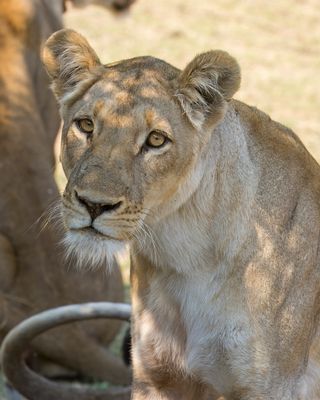 _JR78175-topaz-denoiseraw-sharpen.jpg