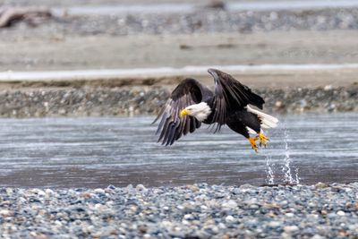 _JR56266-topaz-denoiseraw.jpg