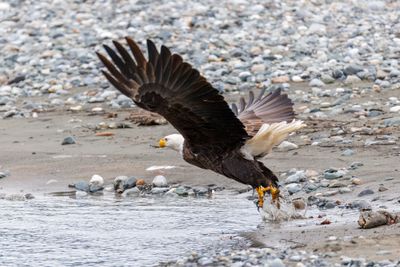 _JR56362-topaz-denoiseraw-sharpen.jpg