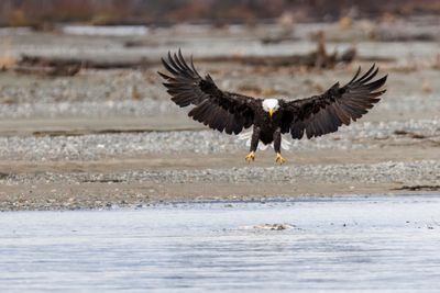 _JR56616-topaz-denoiseraw.jpg