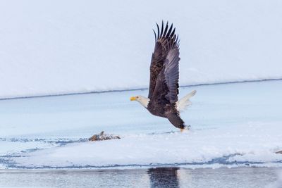 _JR57879-topaz-denoiseraw-sharpen.jpg