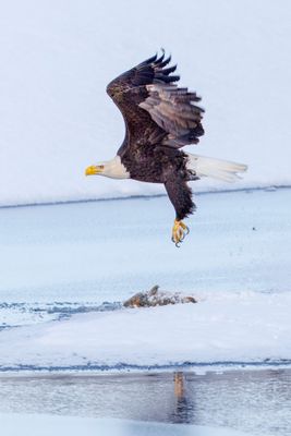 _JR57881-topaz-denoiseraw-sharpen.jpg