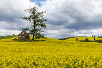 _JR56564-topaz-denoiseraw-sharpen-HDR.jpg