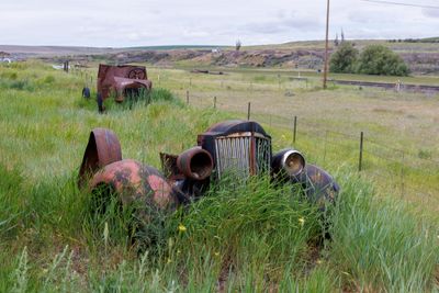 _JR57251-topaz-denoiseraw-sharpen-HDR.jpg