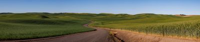 _JR58475-topaz-denoiseraw-Pano.jpg