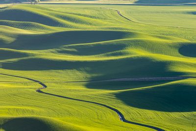 palouse_june_2024