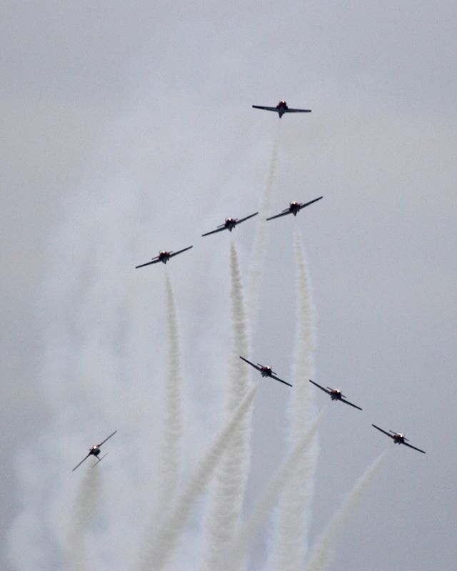 CF Snowbirds fan