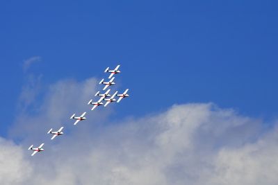 CF Snowbirds