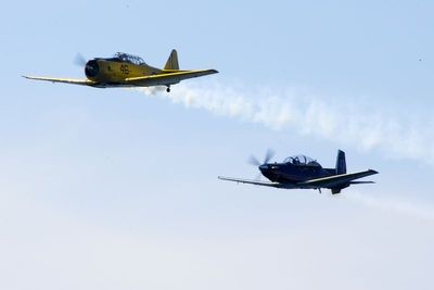 Harvard I & II