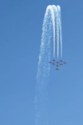 CF Snowbirds concord