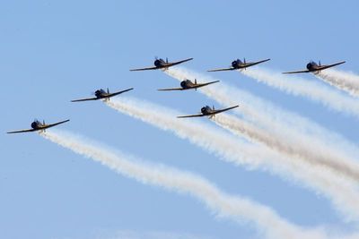 Canadian Harvards
