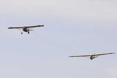 Bellanca Scout & Schweizer glider
